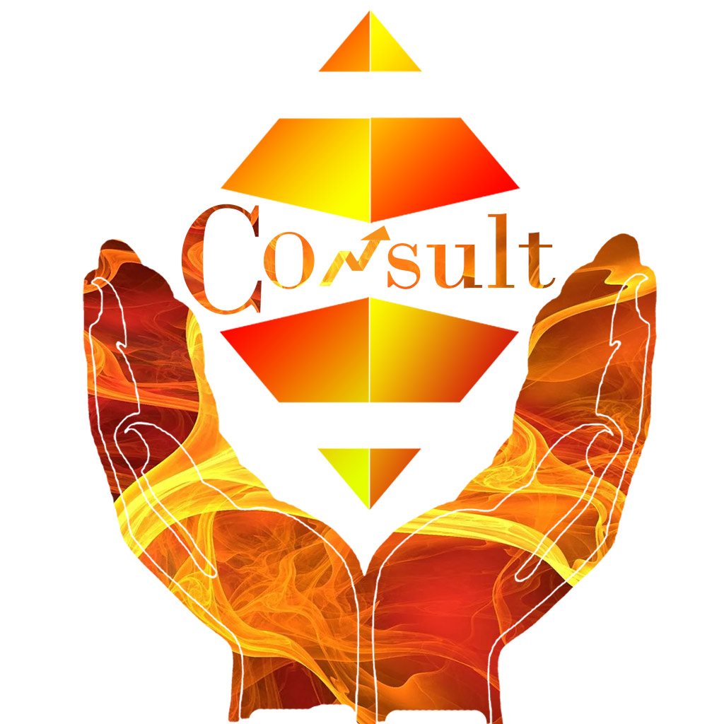 Consultants Coin Consult